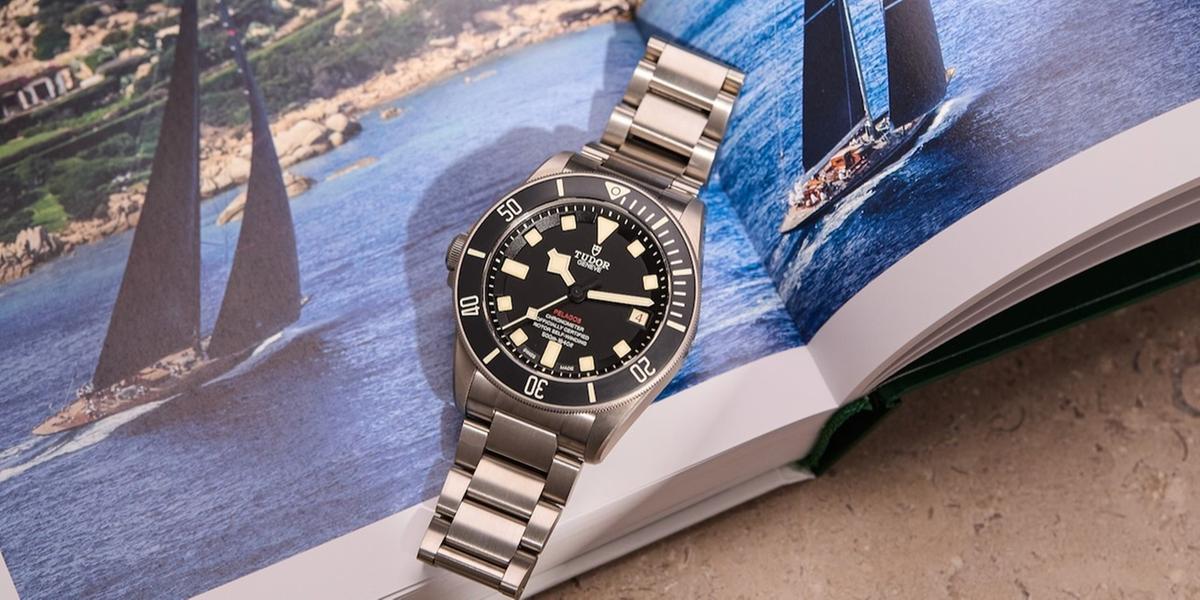 Image 18: Tudor Pelagos 25610TNL_ 8 (2)