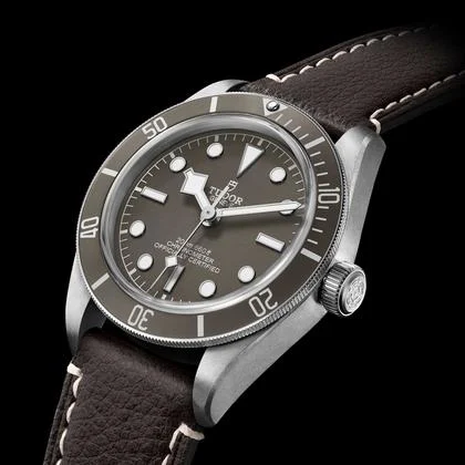 Tudor Black Bay Fifty-Eight M79010SG-0001