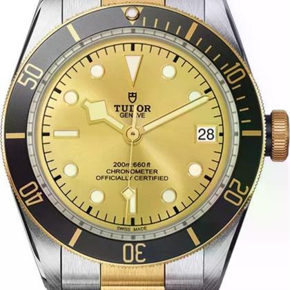 Tudor Black Bay M79733N-0004