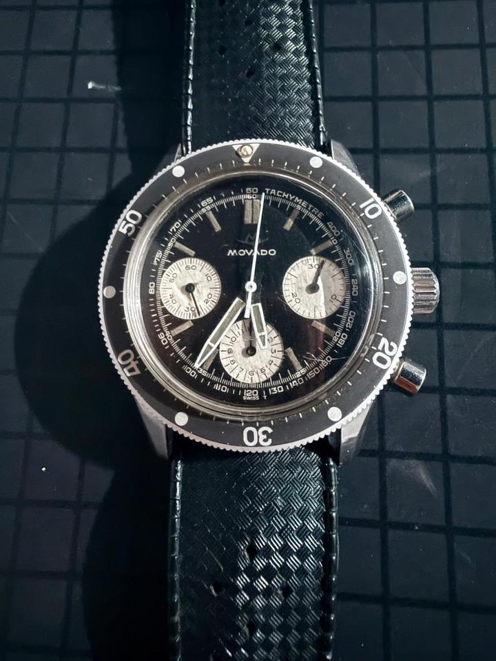 Movado 206-704-501