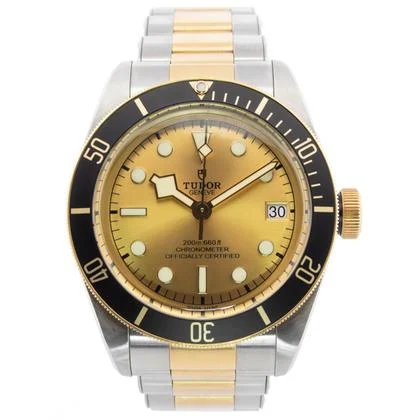 Tudor Black Bay 79733N
