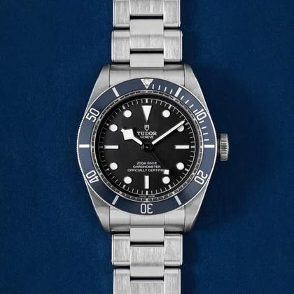 Tudor Black Bay 79230B