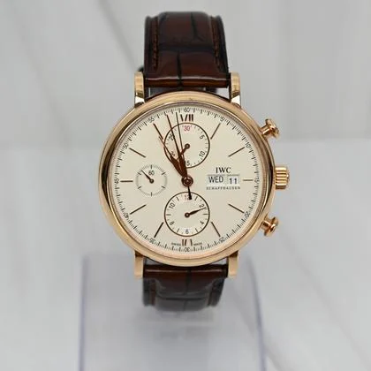 IWC Portofino IW391020