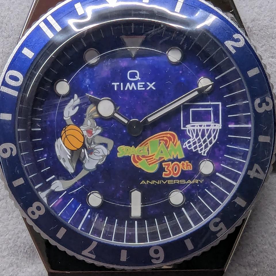 Timex TW2Y79100