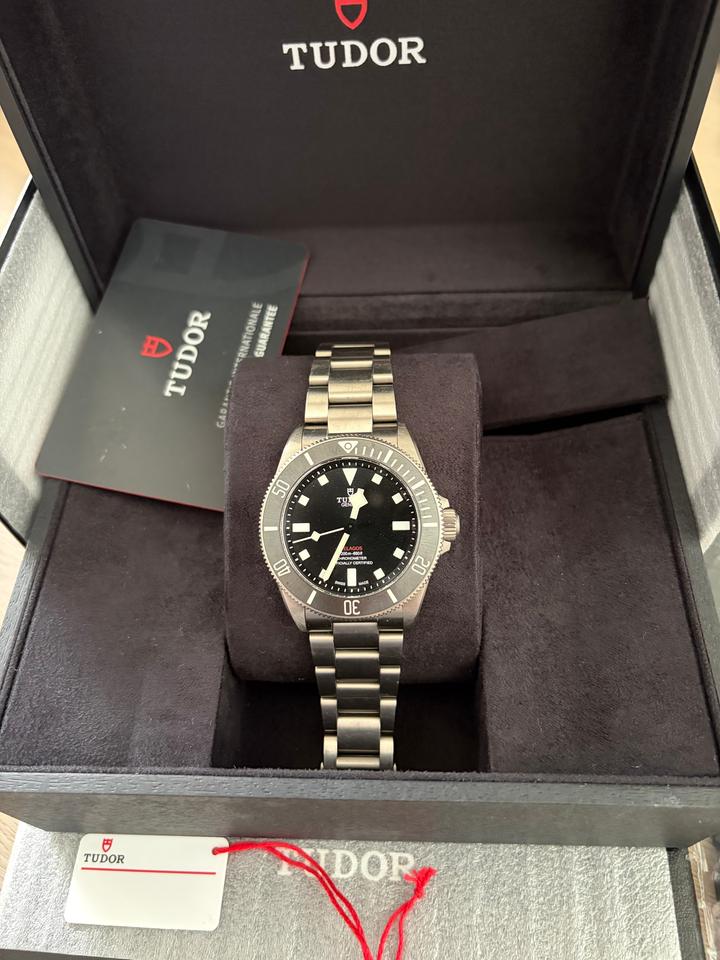 Tudor Pelagos 25407N