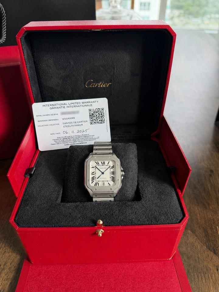Cartier Santos WSSA0089