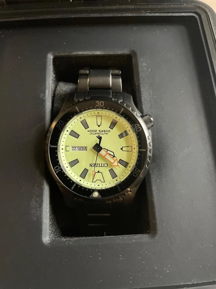 Citizen Promaster NY0155-58X